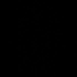 Meet your Posher, Miguel